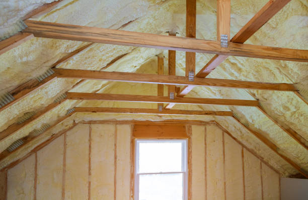 Best Spray Foam Insulation in Leachville, AR